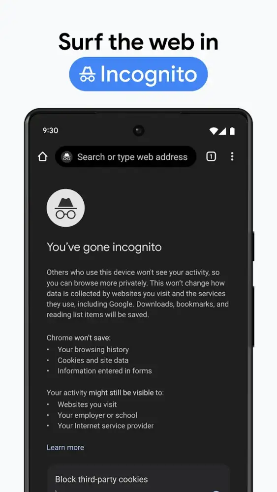 Chrome Beta - браузер от Google скриншот 6