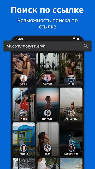 Скачать истории VK анонимно скриншот 4
