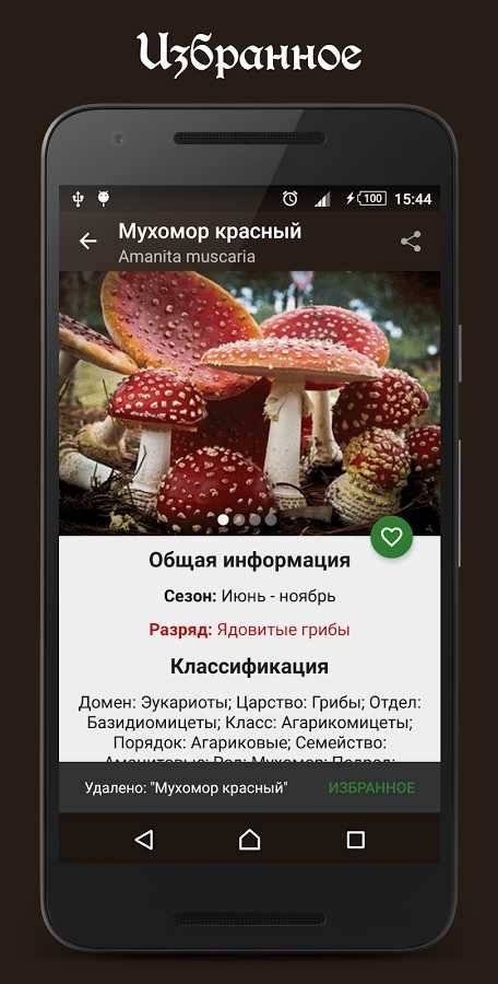 Справочник грибника скриншот 1