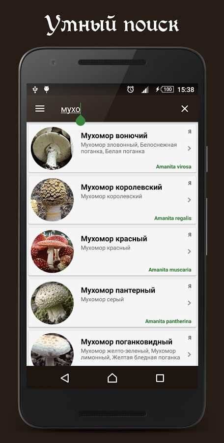 Справочник грибника скриншот 4