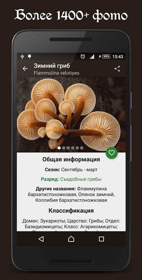 Справочник грибника скриншот 5